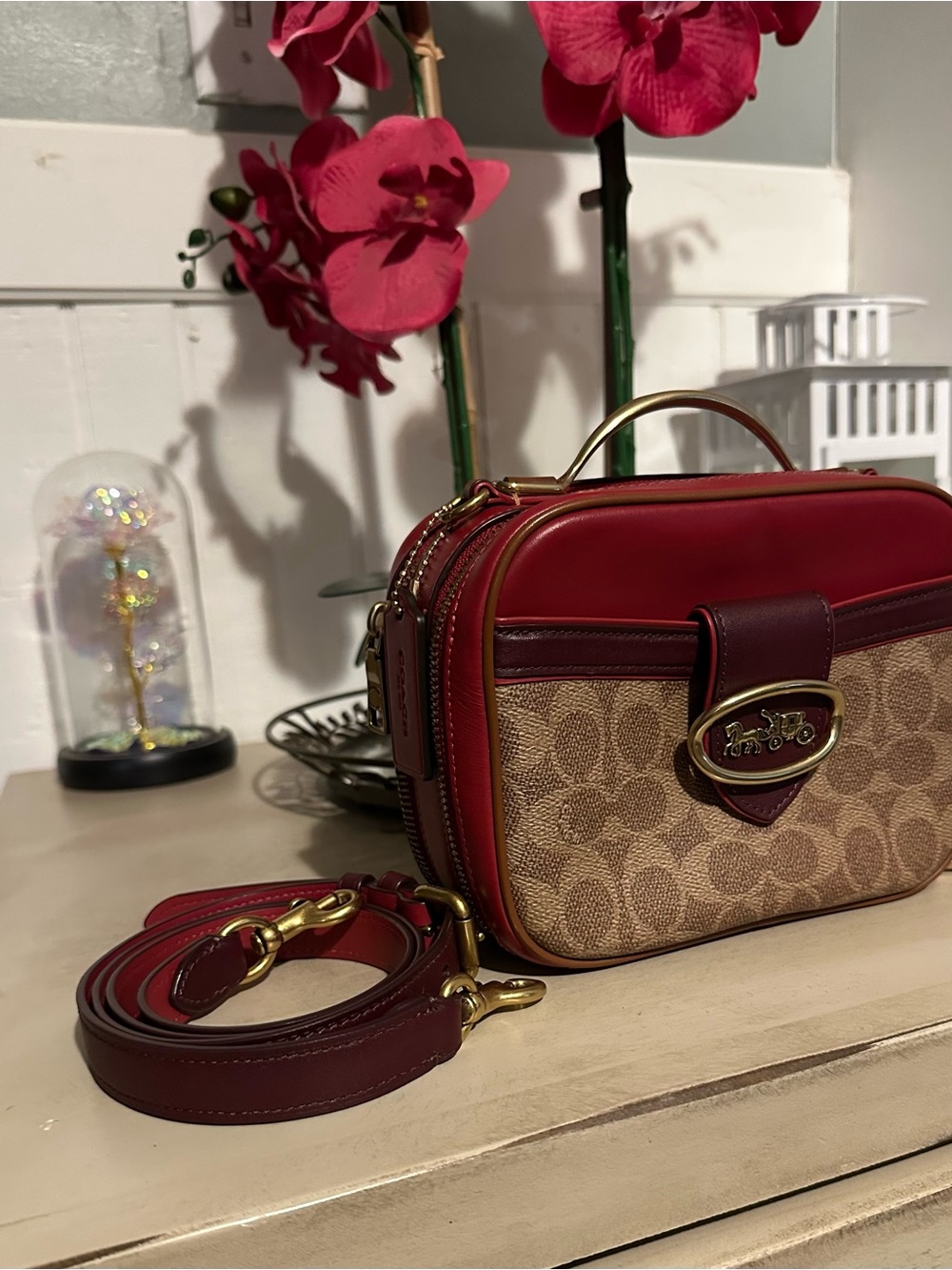 Coach C 2081 1320 Riley Color Block Lunch Box Crossbody Bag Purse